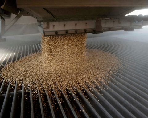 China's soybean glut could defeat US export hopes after trade thaw