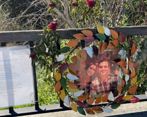 Man responsible for deaths of couple and dog to be released early