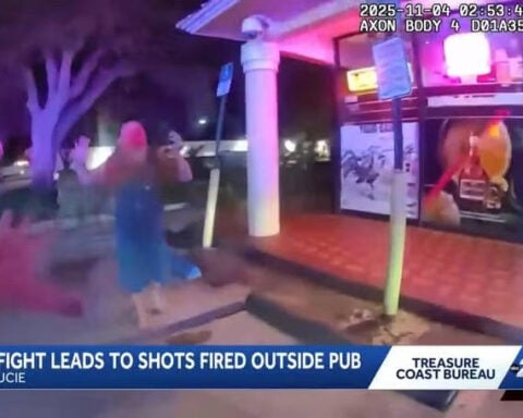 'How many eggs chickens can lay': Man fires shots after pub argument over chickens