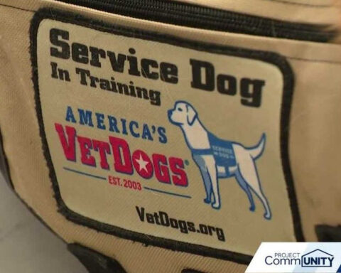 'It changed me': Inmates help train puppies to help veterans with PTSD, other disabilities