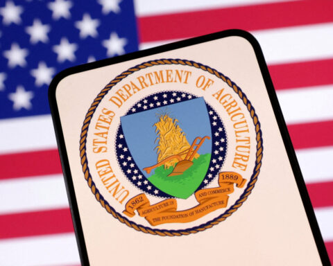 USDA data blackout fuels uncertainty ahead of upcoming crop report