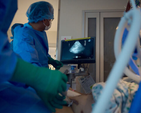 Doctors say they’re ‘measurably closer’ to making pig kidneys work for humans