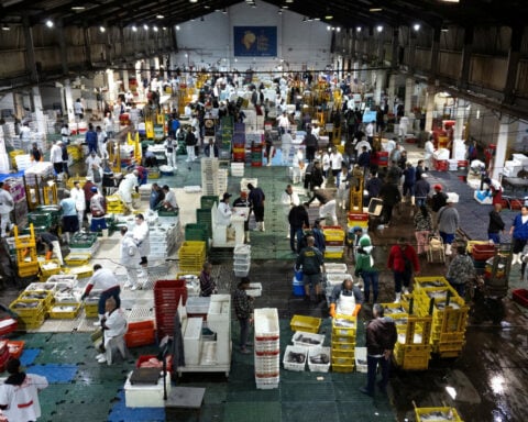 Brazil trims 2025 growth, inflation forecasts amid slowdown