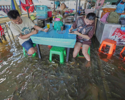 A flooded restaurant in Thailand brings delight with swimming fish among diners