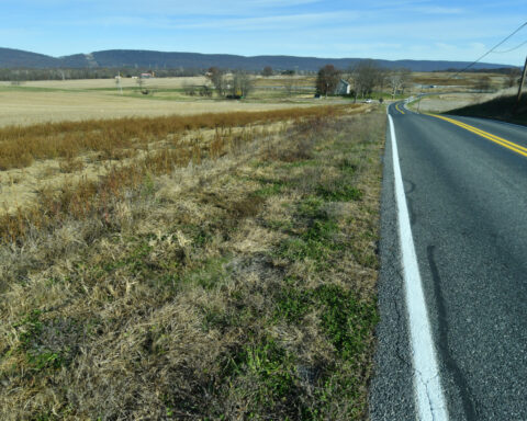 Future data centers are driving up forecasts for energy demand. States want proof they'll get built