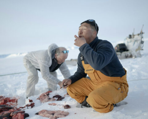 If evolution is real, then why isn’t it happening now? An anthropologist explains that humans actually are still evolving