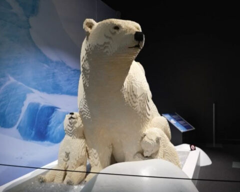 1.5 million Lego bricks bring wildlife to Denver museum