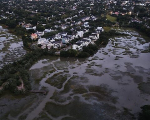 EPA moves to limit scope of clean water law to reduce amount of wetlands it covers