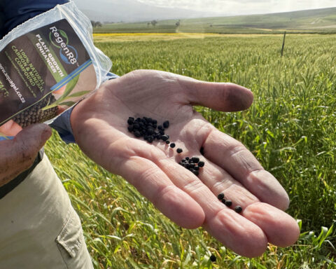 Big Tech-led demand for carbon removal credits fuels supply crunch