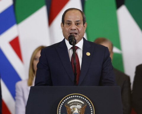 Egypt annuls first-round parliament vote in quarter of constituencies over 'violations'