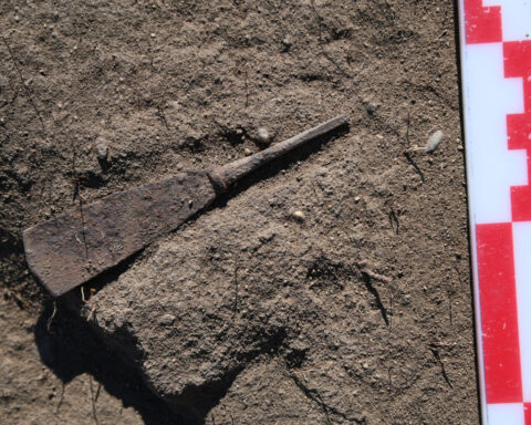 Archaeologists may have uncovered a Bronze Age metropolis in Kazakhstan’s steppe