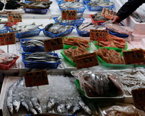 Japanese seafood caught up in escalating diplomatic dispute with China