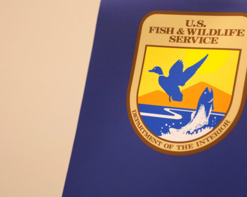 Trump administration proposes to loosen rules protecting endangered species