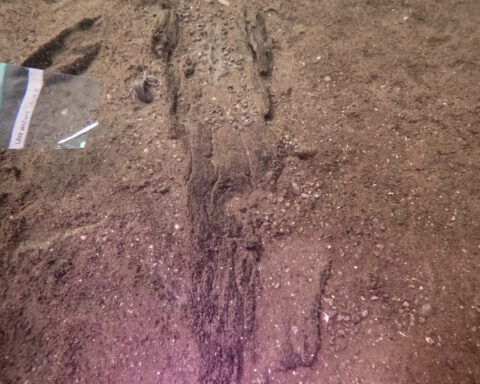 Wisconsin archaeologists identify 16 ancient canoes in a prehistoric lake 'parking lot'