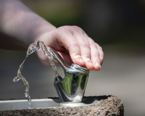 Fluoride in drinking water does not negatively affect cognitive ability — and may actually provide benefit, study finds