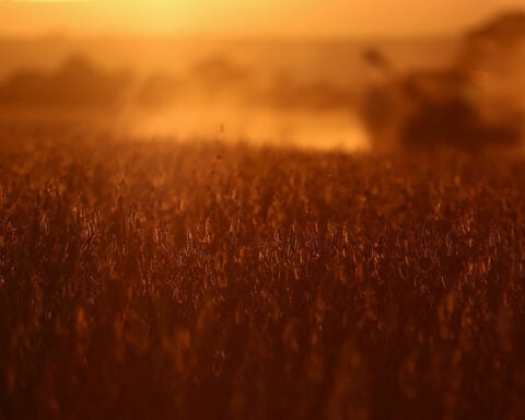 China imports no US soybeans for second month, Brazil arrivals up 29%