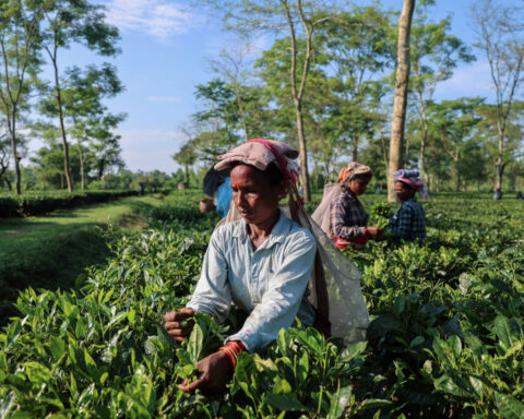 Resilient domestic economy gives India space to negotiate U.S. trade deal, sources say