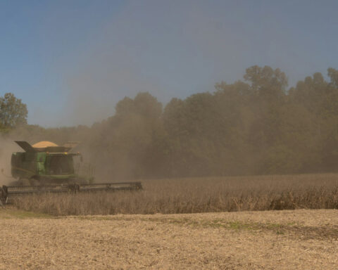 Farmers – long Trump backers – bear the costs of new tariffs, restricted immigration and slashed renewable energy subsidies