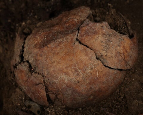 Spain exhumes victim of Franco-era killings in ongoing recovery effort