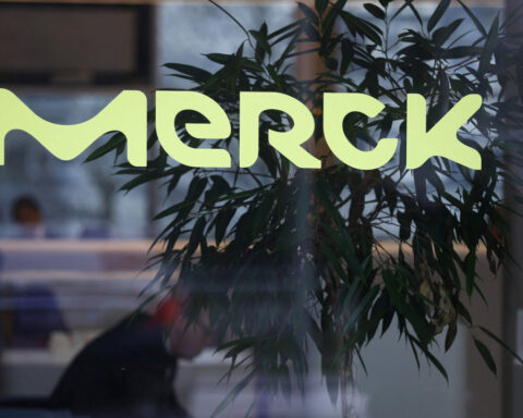 Merck KGaA to draw on Valo's drug discovery AI in potential $3 billion deal