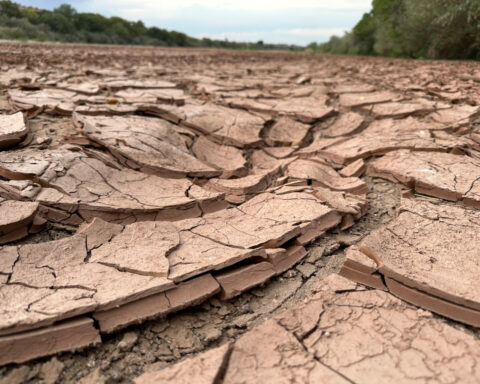 A drying-up Rio Grande basin threatens water security on both sides of the border
