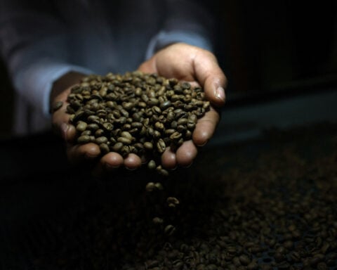 Global coffee prices plunge after Trump removes tariffs on Brazil