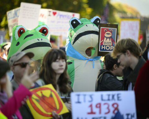 The plague of frog costumes demonstrates the subversive power of play in protests