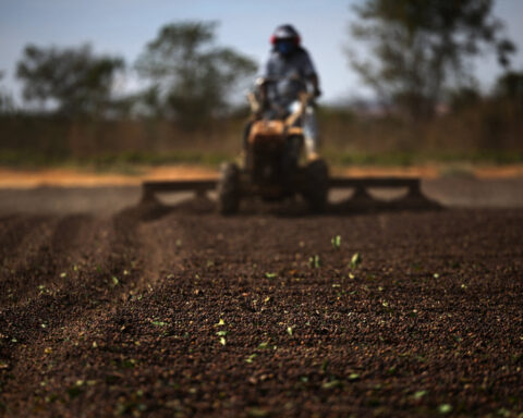Brazil fears losing US market share in instant coffee after Trump maintains tariffs