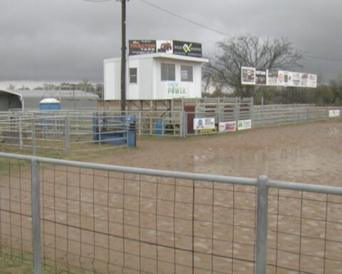 EHV OUTBREAK: Equine world on hold as disease hits Oklahoma