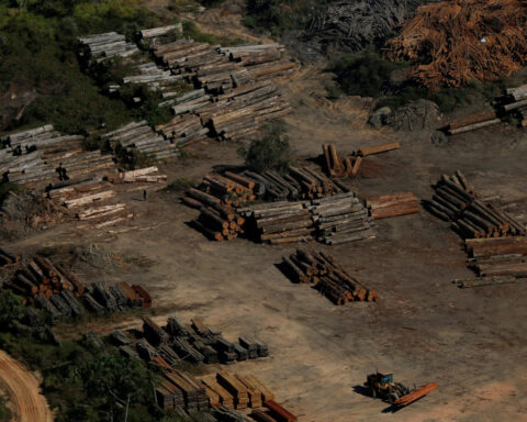 What the COP30 climate summit in the Amazon delivered for forests and Indigenous people