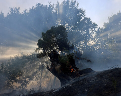 Takeaways from the COP30 climate summit in Brazil