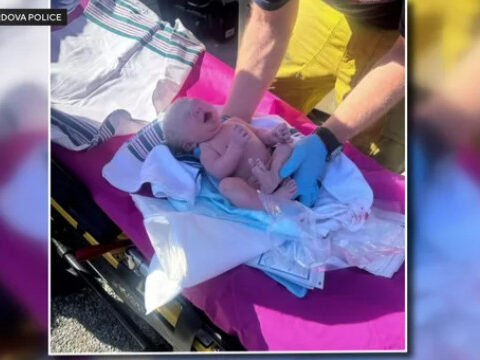 Routine call turns heroic as deputy helps delivery baby in store parking lot