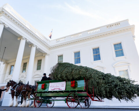Melania Trump welcomes Christmas tree to the White House