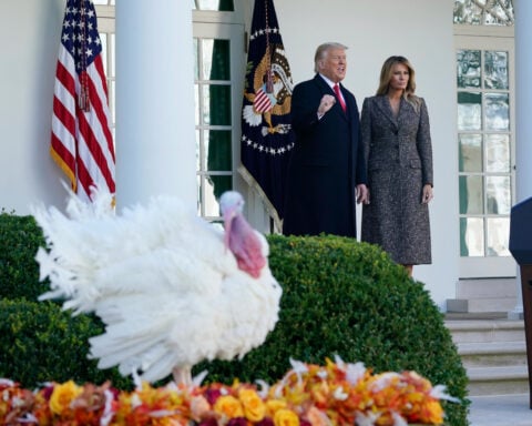 In latest dishing out of pardons, Trump keeps Gobble and Waddle off the menu