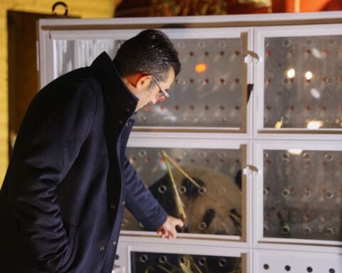 France says 'bon voyage' to 2 giant pandas as they head back to China