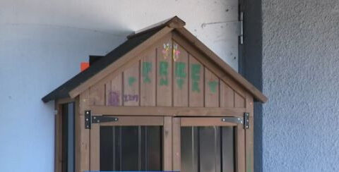 Stolen community food pantry built by Girl Scouts has been returned