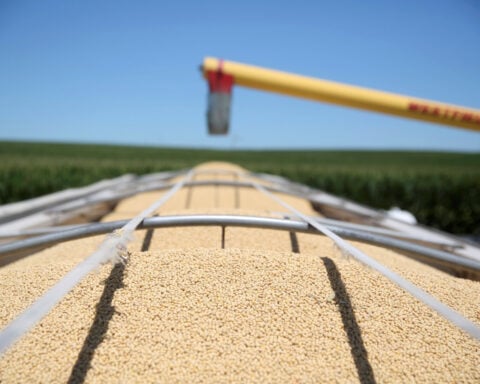 China buys at least 10 US soybean cargoes in new deals after Trump-Xi call, sources say