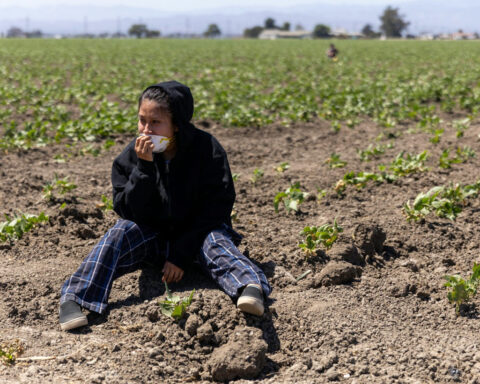 As US hunger rises, Trump administration’s ‘efficiency’ goals cause massive food waste