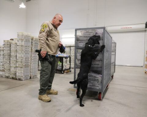 FACT FOCUS: It is not illegal for voters to show ID in New York and California