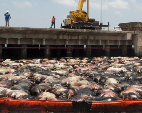 Brazil prosecutors sue agencies over Haidar shipwreck, environmental risk