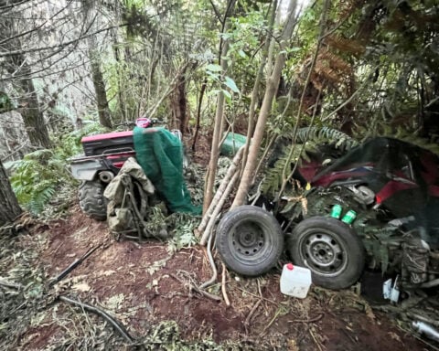 New Zealand launches major inquiry into case of father who hid his children in a forest for years