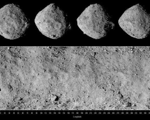 Scientists found tryptophan, the ‘sleepy’ amino acid, in an asteroid. Here’s what it means