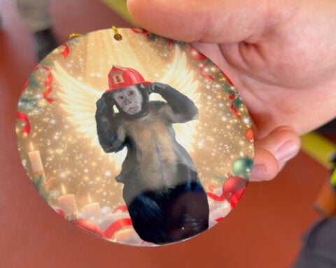 Firefighters praised for efforts to save pet monkey