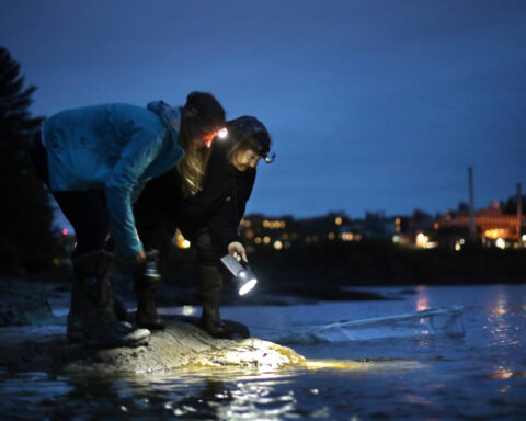 Eel populations are falling, and new protections were defeated. Japan and the US opposed them