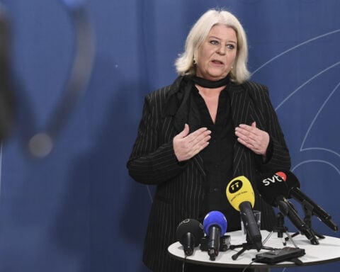 Sweden promises action against illegal sex doll sales