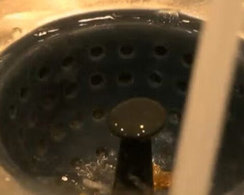 Thanksgiving clogs: Plumbers prepare for 'Brown Friday'