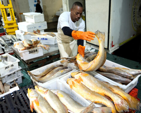 Brazil creates fewer formal jobs than expected in October