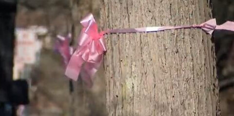 Ballerina shot dead by ex in botched Thanksgiving murder-suicide, police say