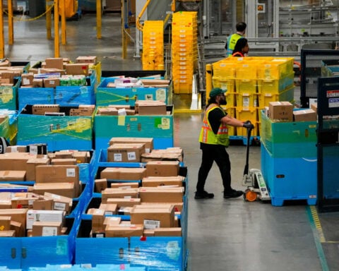 Record shoppers, online sales surge signal strong US holiday season momentum