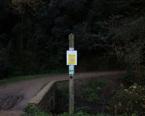 EU vets assess Barcelona swine fever outbreak as cases rise to nine